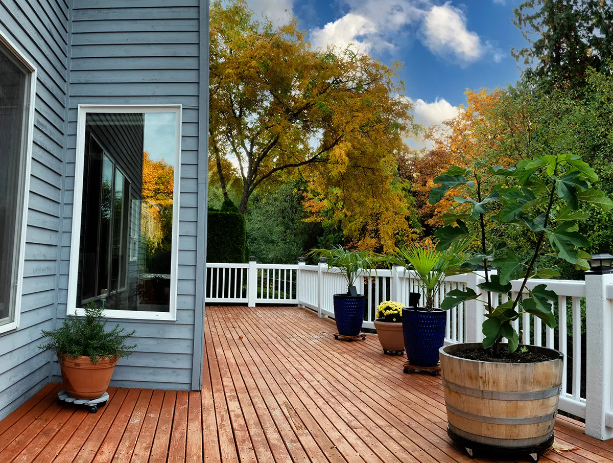 Deck Image